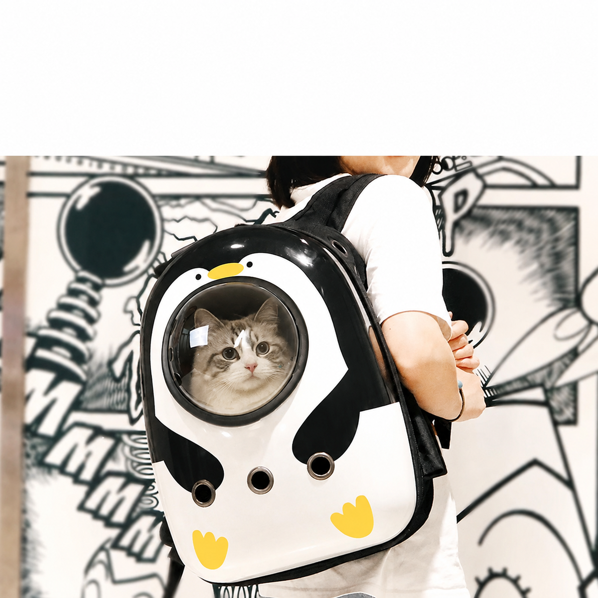 Pawway™ Panorama Pet Carrier