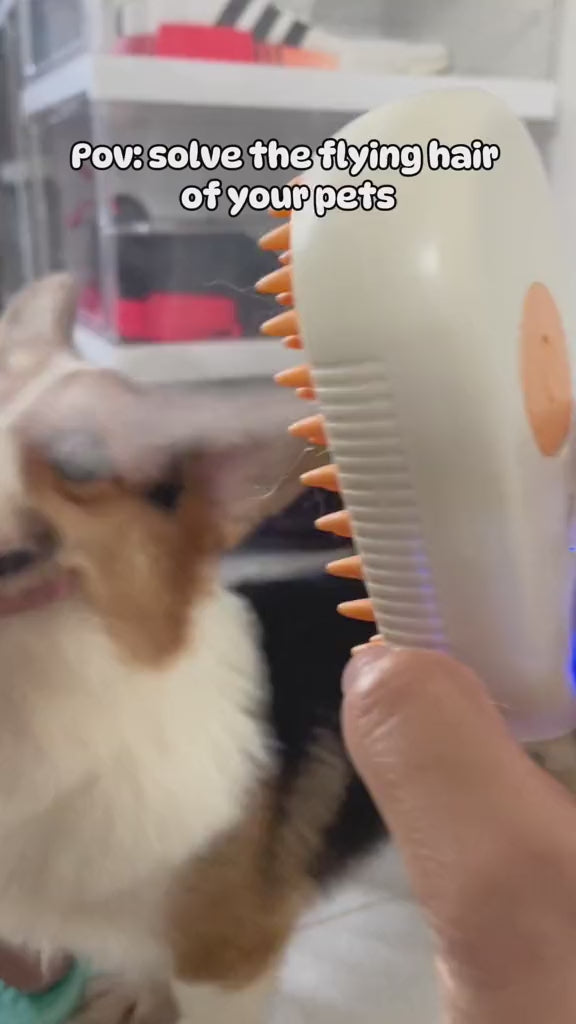 Pawway™ 3-in-1 Mist Grooming Brush